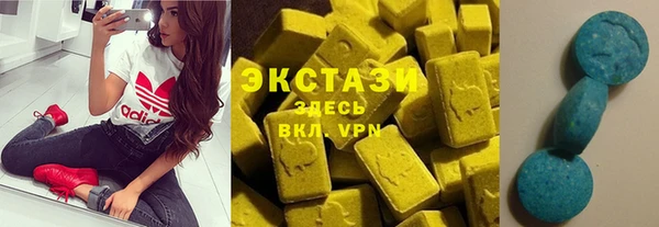 ECSTASY Бородино