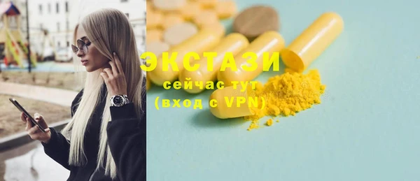 ECSTASY Бородино